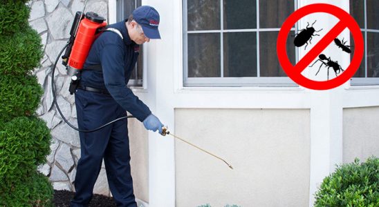 Nurdağı Fare İlaçlama böcek ilaçlama ve haşere kontrolü — ilaclama-tr.com